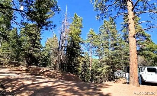 130 Rosita Dr, Rye, CO 81252