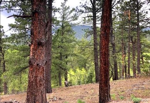 130 Rosita Dr, Rye, CO 81252