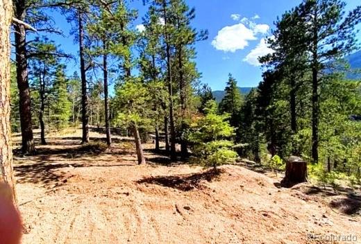 130 Rosita Dr, Rye, CO 81252