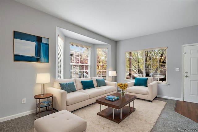 living room with carpet