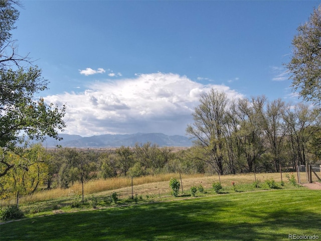 900 Pond Ter, Fountain, CO 80817 - photo 7