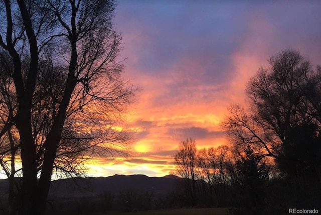 900 Pond Ter, Fountain, CO 80817 - photo 8