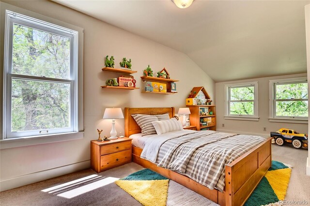 900 Pond Ter, Fountain, CO 80817 - photo 41