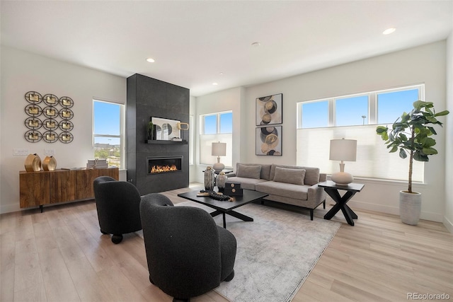 living room with light hardwood / wood-style flooring and a healthy amount of sunlight