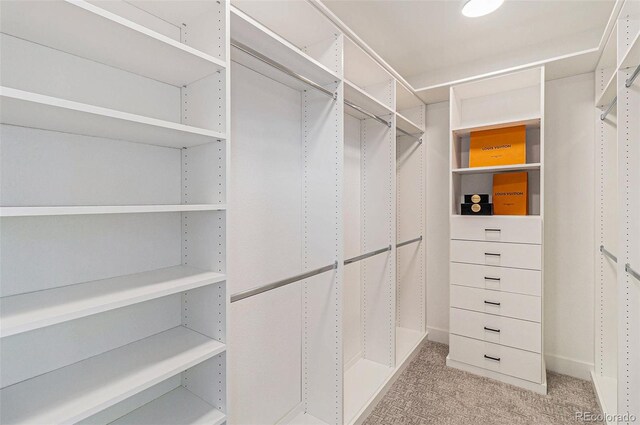 walk in closet with light colored carpet