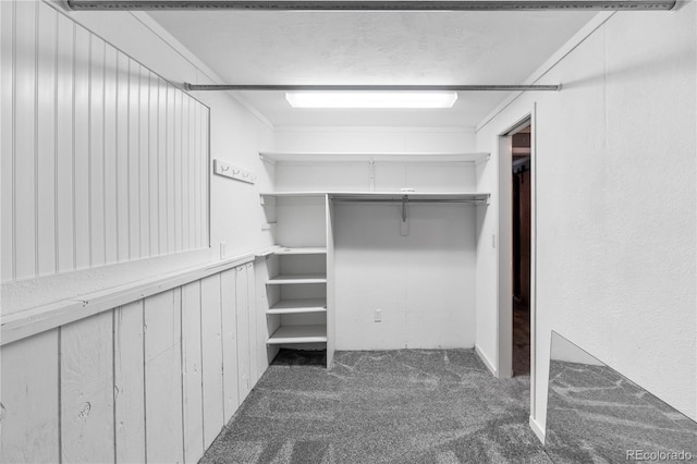 spacious closet featuring dark colored carpet