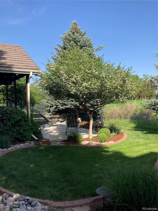 view of yard with a patio area