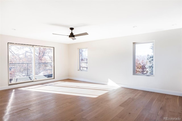 unfurnished room featuring hardwood / wood-style flooring and ceiling fan