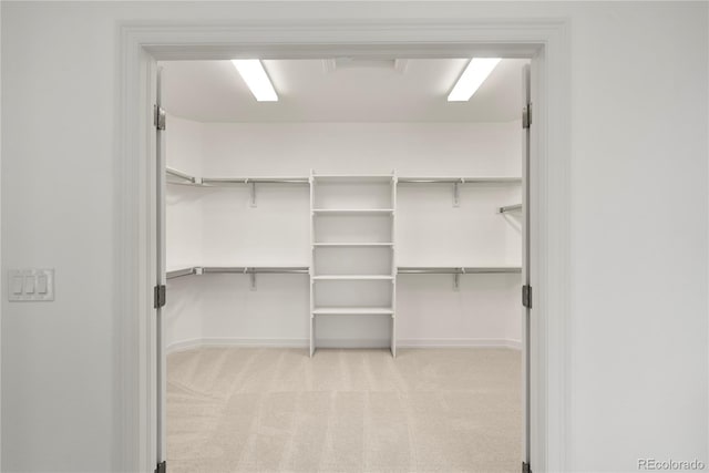 9566 Poppy Way, Arvada, CO 80007 - walk in closet with light carpet