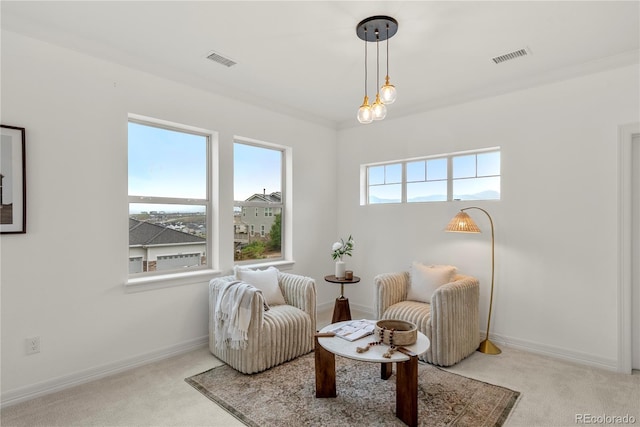 9566 Poppy Way, Arvada, CO 80007 - living area featuring carpet floors and baseboards