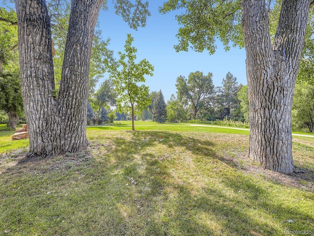 7028 Van Gordon Ct, Arvada, CO 80004 - photo 31
