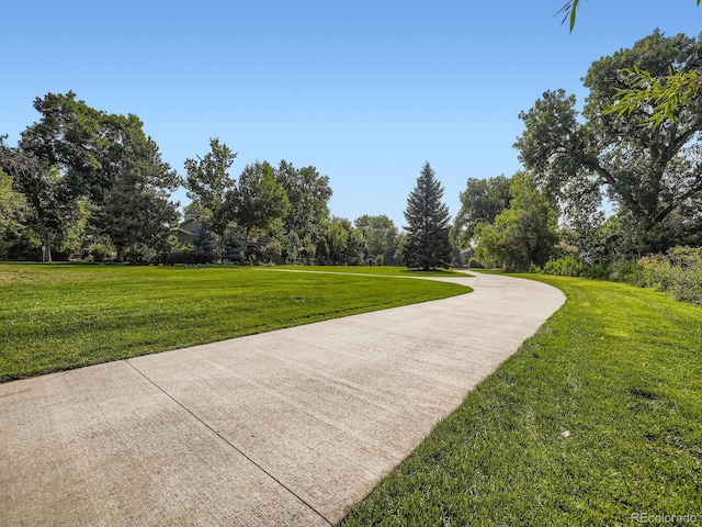 7028 Van Gordon Ct, Arvada, CO 80004 - photo 32