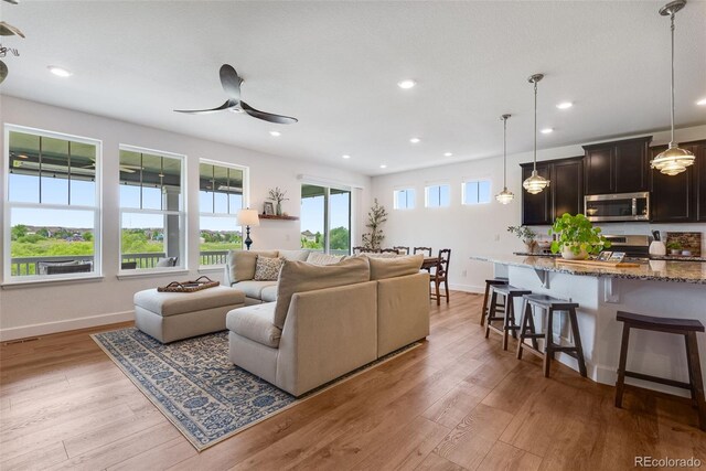 11817 Phoebe St, Parker, CO 80134 - living area featuring light wood-style flooring, a ceiling fan, and recessed lighting