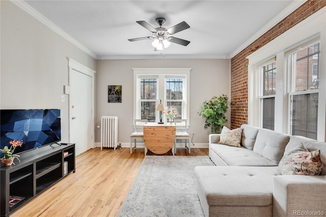 living room featuring ceiling fan, radiator heating unit, ornamental molding, and light hardwood / wood-style flooring