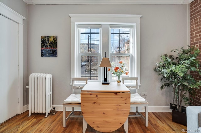 living area featuring radiator and hardwood / wood-style floors