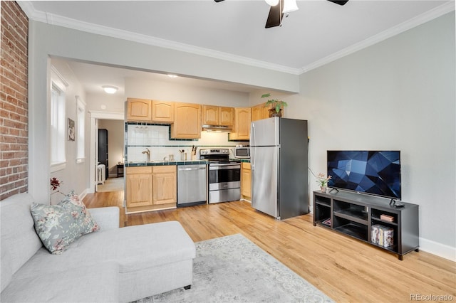 kitchen featuring light brown cabinets, sink, appliances with stainless steel finishes, and light hardwood / wood-style flooring