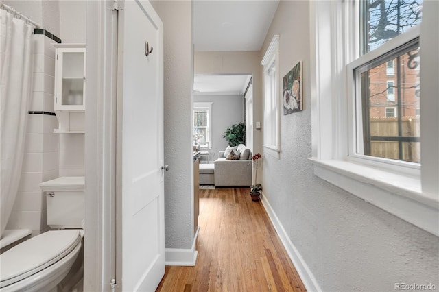 corridor with light hardwood / wood-style floors and crown molding