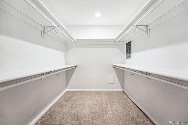 walk in closet with electric panel and light colored carpet