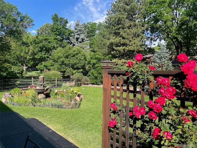 3765 E Easter Dr, Centennial, CO 80122 - view of yard