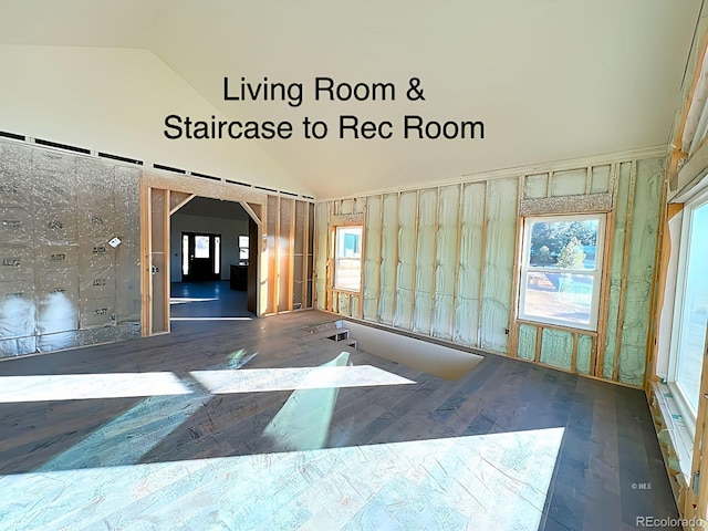 unfurnished room with hardwood / wood-style flooring, plenty of natural light, and lofted ceiling