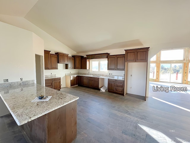 kitchen with kitchen peninsula, high vaulted ceiling, hardwood / wood-style flooring, and light stone counters