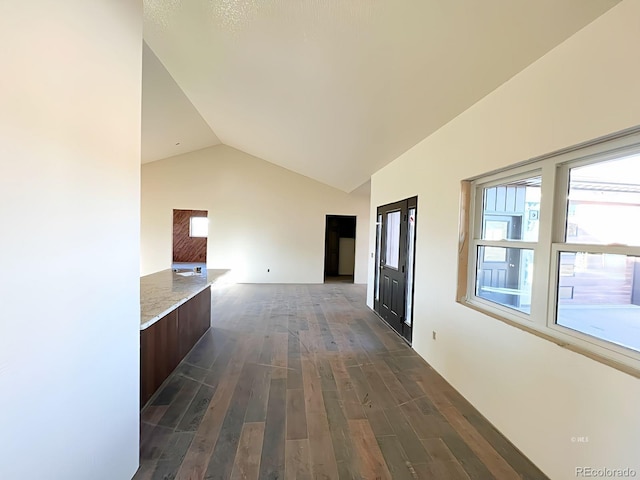 hall featuring lofted ceiling, plenty of natural light, and dark wood-type flooring