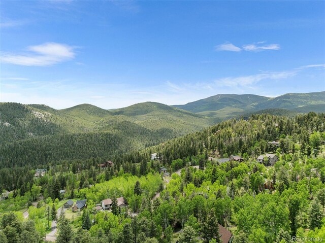 32171 Lodgepole Dr, Evergreen, CO 80439 - photo 2