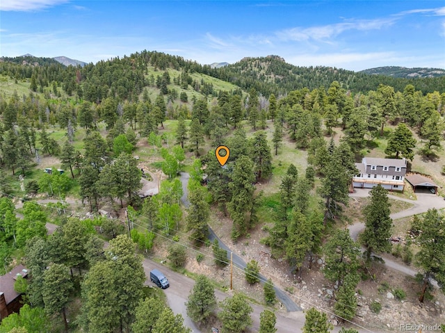 32171 Lodgepole Dr, Evergreen, CO 80439 - photo 35