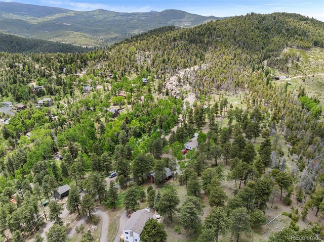 32171 Lodgepole Dr, Evergreen, CO 80439 - photo 36