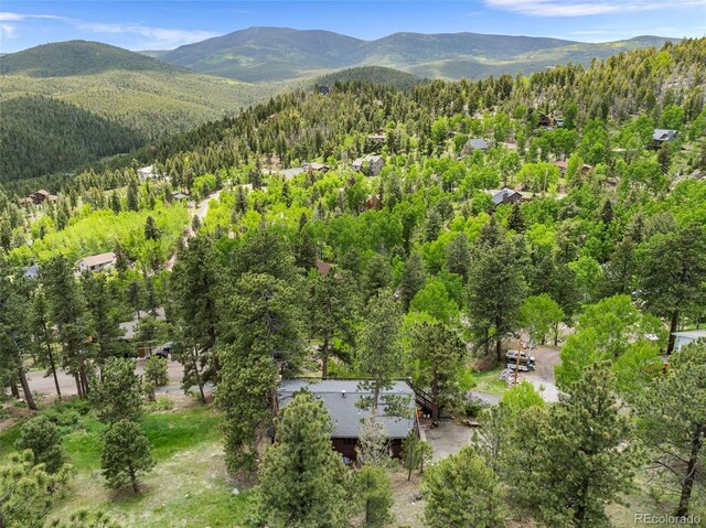 32171 Lodgepole Dr, Evergreen, CO 80439 - photo 37