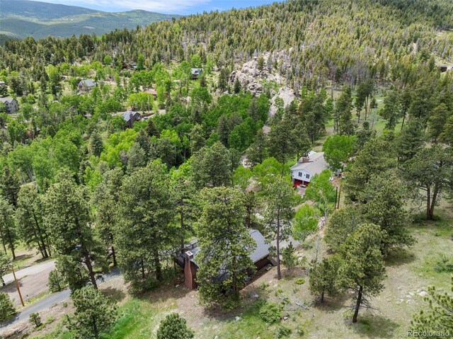 32171 Lodgepole Dr, Evergreen, CO 80439 - photo 38