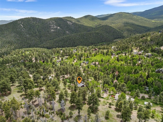 32171 Lodgepole Dr, Evergreen, CO 80439 - photo 39