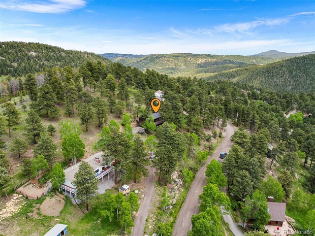 32171 Lodgepole Dr, Evergreen, CO 80439 - photo 40