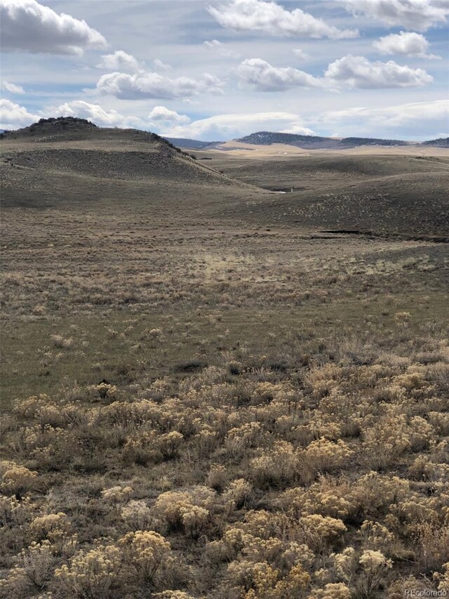 000 County Road 53, Hartsel, CO 80449 - photo 4