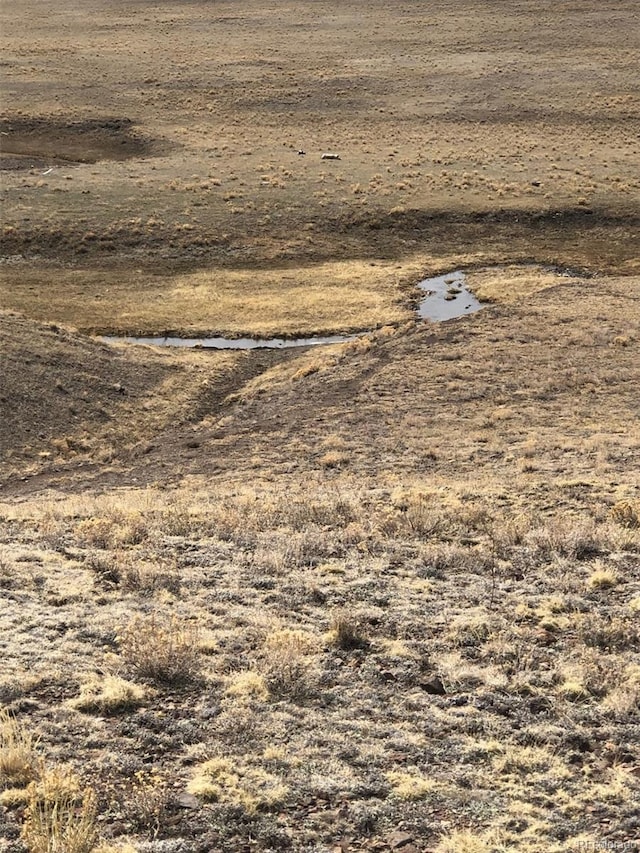 000 County Road 53, Hartsel, CO 80449 - photo 6