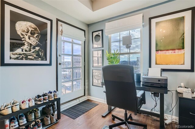 office featuring hardwood / wood-style floors