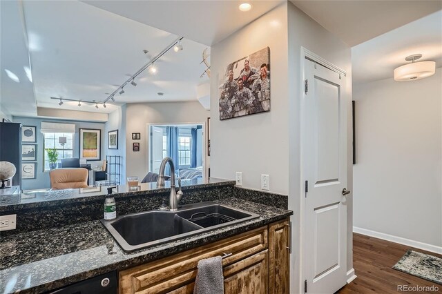 kitchen featuring track lighting, dark stone counters, sink, dishwasher, and dark hardwood / wood-style floors