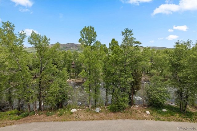 930 Blue River Pkwy Unit 734, Silverthorne, CO 80498 - photo 35