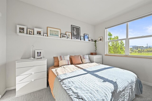 2004 Foxtail Ln Unit B, Lafayette, CO 80026 - carpeted bedroom with baseboards