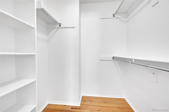 spacious closet with light wood-style flooring