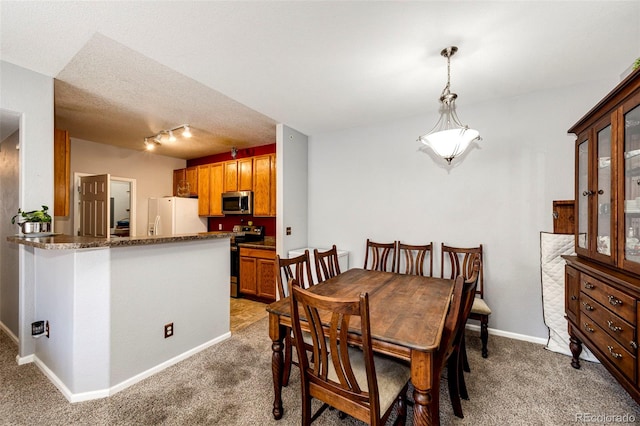 carpeted dining room featuring a textured ceiling and rail lighting