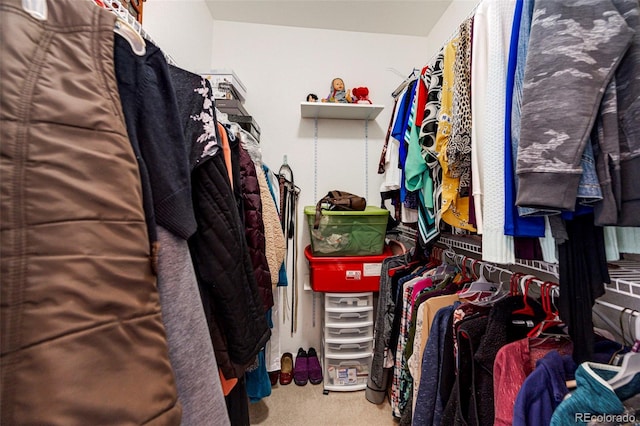 walk in closet with carpet floors