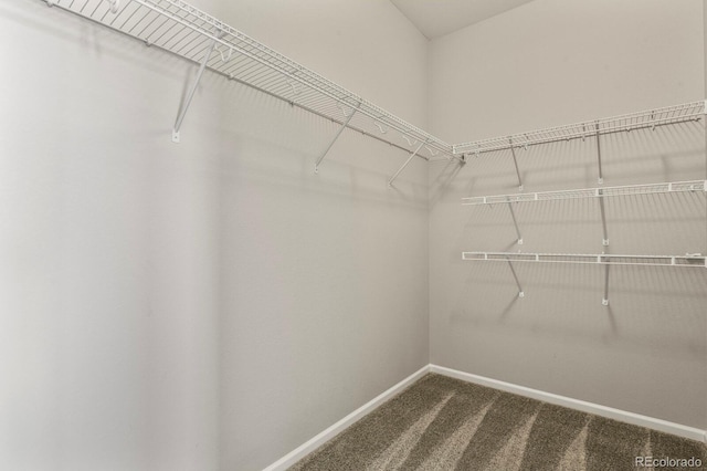 walk in closet featuring dark colored carpet