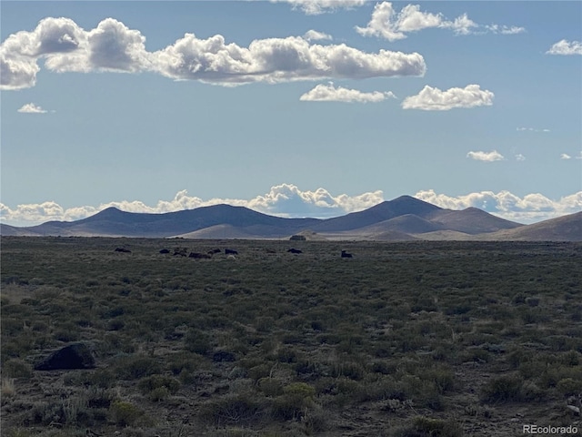 9th St, Blanca, CO 81123 - photo 6