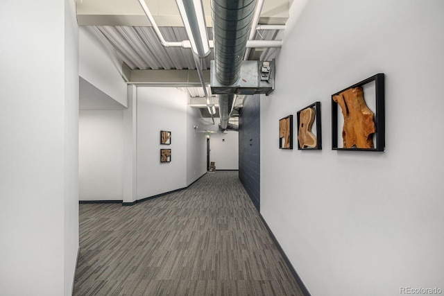 hallway with carpet flooring