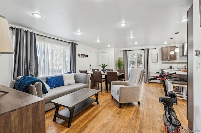 living room with a healthy amount of sunlight and light hardwood / wood-style flooring