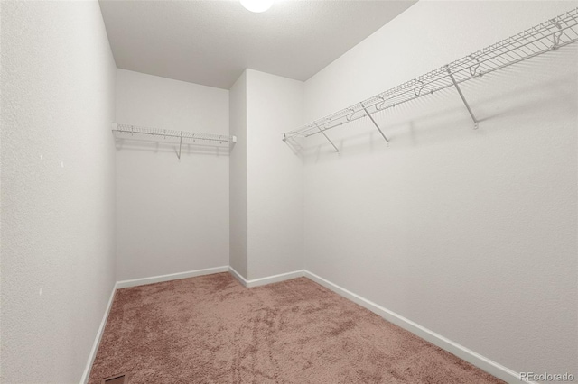 1518 Sepia Ave, Longmont, CO 80501 - photo 15