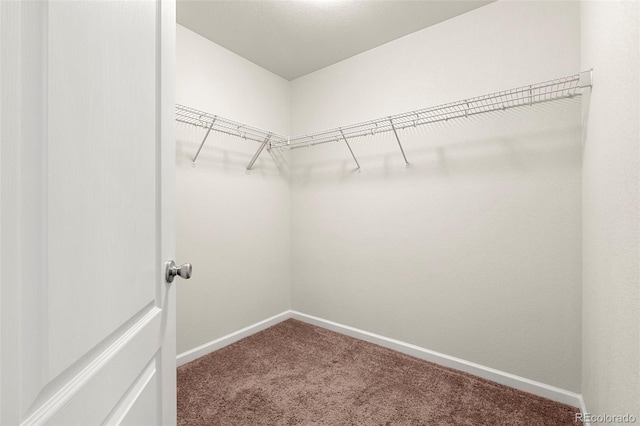 1518 Sepia Ave, Longmont, CO 80501 - photo 17