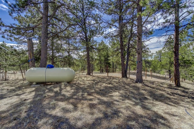 1360 Kiowa Rd, Florissant, CO 80816 - view of yard featuring a forest view