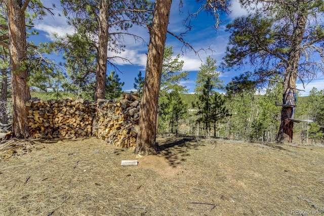 1360 Kiowa Rd, Florissant, CO 80816 - view of yard
